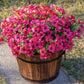 💥Upgraded high-grade material 🌱UV Resistant Lifelike Artificial Flowers💐