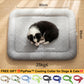 💖LAST DAY SALE ONLY￡7.99!!❄Pawchill™🇬🇧Pet Cooling Mat for Dogs & Cats 🐾 Naturally Cool Ice-Silk Pad • Breathable, Washable & Soft 🌿  For Floors, Sofas & Car Travel • Multiple Sizes • Gradient Colours ☀️🐶🐱