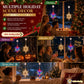 ⏳LAST DAY SALE ONLY ￡7.99!!🎄❄️ DIY Christmas Snowflake Suction Cup LED Lights ✨ | Battery Operated, Warm & Multi-Colour, Window Suction Lights, Christmas Home & Party Decor