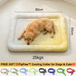 💖LAST DAY SALE ONLY￡7.99!!❄Pawchill™🇬🇧Pet Cooling Mat for Dogs & Cats 🐾 Naturally Cool Ice-Silk Pad • Breathable, Washable & Soft 🌿  For Floors, Sofas & Car Travel • Multiple Sizes • Gradient Colours ☀️🐶🐱