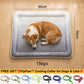 💖LAST DAY SALE ONLY￡7.99!!❄Pawchill™🇬🇧Pet Cooling Mat for Dogs & Cats 🐾 Naturally Cool Ice-Silk Pad • Breathable, Washable & Soft 🌿  For Floors, Sofas & Car Travel • Multiple Sizes • Gradient Colours ☀️🐶🐱