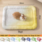 💖LAST DAY SALE ONLY￡7.99!!❄Pawchill™🇬🇧Pet Cooling Mat for Dogs & Cats 🐾 Naturally Cool Ice-Silk Pad • Breathable, Washable & Soft 🌿  For Floors, Sofas & Car Travel • Multiple Sizes • Gradient Colours ☀️🐶🐱