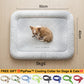 💖LAST DAY SALE ONLY￡7.99!!❄Pawchill™🇬🇧Pet Cooling Mat for Dogs & Cats 🐾 Naturally Cool Ice-Silk Pad • Breathable, Washable & Soft 🌿  For Floors, Sofas & Car Travel • Multiple Sizes • Gradient Colours ☀️🐶🐱