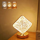 🎄Christmas Sale 50% OFF!!✨💎50K+ SOLD! 🎁Rechargeable Luxury Crystal LED Night Light Lamp 2