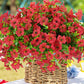 💥Upgraded high-grade material 🌱UV Resistant Lifelike Artificial Flowers💐
