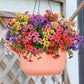 💥Upgraded high-grade material 🌱UV Resistant Lifelike Artificial Flowers💐