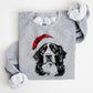 🎄🎅CHRISTMAS SPECIAL PRICE: ￡10.99!!🎁Santa Paws Christmas Dog Sweatshirt🐶