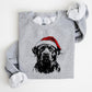 🎄🎅CHRISTMAS SPECIAL PRICE: ￡10.99!!🎁Santa Paws Christmas Dog Sweatshirt🐶