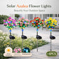 🔥LAST DAY SALE 50% OFF✨EVEDIOR Solar Azalea Flower Lights💐
