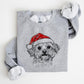 🎄🎅CHRISTMAS SPECIAL PRICE: ￡10.99!!🎁Santa Paws Christmas Dog Sweatshirt🐶