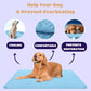 Dog Cooling Mat (4x more effective)