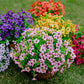 💥Upgraded high-grade material 🌱UV Resistant Lifelike Artificial Flowers💐