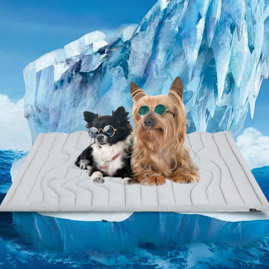 💥LAST DAY SALE 50% OFF💥Eco-friendly Dog Cooling & Warming Mat: All-Season Comfort Pad