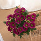 🌺Last Day Sale 49% OFF‼️Artificial Outdoor Sunset Mums Flowers
