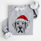 🎄🎅CHRISTMAS SPECIAL PRICE: ￡10.99!!🎁Santa Paws Christmas Dog Sweatshirt🐶