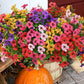 💥Upgraded high-grade material 🌱UV Resistant Lifelike Artificial Flowers💐