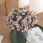 🌺Last Day Sale 49% OFF‼️Artificial Outdoor Sunset Mums Flowers