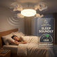 🏆LAST DAY SALE 50% OFF!!❄Aerolux™ Ceiling Fan Light – 2-in-1 Silent LED with Remote 🌬️💡  Energy-Efficient Airflow & Dimmable Lighting for Bedrooms, Living Rooms & Conservatories 🏡✨