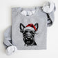 🎄🎅CHRISTMAS SPECIAL PRICE: ￡10.99!!🎁Santa Paws Christmas Dog Sweatshirt🐶