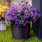 💥Upgraded high-grade material 🌱UV Resistant Lifelike Artificial Flowers💐