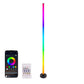 🎅Special Price: Only £12.99!! 🎉🌲Smart RGB + IC LED floor lamp with remote control and USB power supply