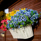 💥Upgraded high-grade material 🌱UV Resistant Lifelike Artificial Flowers💐
