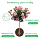 🌱Last Day 49% OFF🔥 - Rapid Bloom Booster Powder | Fast Root Growth + Bigger Flowers!🌸