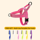 🏆LAST DAY SALE: ONLY ￡9.99!!🎁✨Pawve™ No-Pull Dog Harness – Vet-Approved Comfort, Chafe-Free & Escape-Safe | Lightweight, Adjustable & Perfect for Every Walk🐕