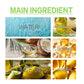 ⏰LIMITED SALE 50% OFF!!🎁Nature Spell Rosemary Hair Nourishment Oil🌿✨