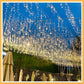 🎅Christmas Sale 50% OFF!!🎄50K+ SOLD! 🎁✨LED Solar Garden Ambient Light