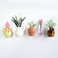🌸LAST DAY SALE 50% OFF!!🌸Mini Ceramic Vase Fridge Magnet