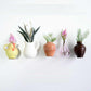 🌸LAST DAY SALE 50% OFF!!🌸Mini Ceramic Vase Fridge Magnet