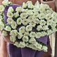 Crochet Rose Bouquet Knitted Blanket