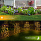🌈 Limited-time offer-Solar Garden Lights Outdoor Decor