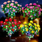 🔥LAST DAY SALE 50% OFF✨EVEDIOR Solar Azalea Flower Lights💐