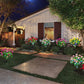 🔥LAST DAY SALE 50% OFF✨EVEDIOR Solar Azalea Flower Lights💐