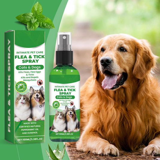 ⏳Limited-Time Offer: Buy 2, Get 1 FREE!✨️🌿The #1 Plant-Based Flea & Tick Spray in the UK 🇬🇧🏆