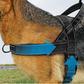 🏆LAST DAY SALE: ONLY ￡9.99!!🎁✨Pawve™ No-Pull Dog Harness – Vet-Approved Comfort, Chafe-Free & Escape-Safe | Lightweight, Adjustable & Perfect for Every Walk🐕
