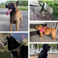 🏆LAST DAY SALE: ONLY ￡9.99!!🎁✨Pawve™ No-Pull Dog Harness – Vet-Approved Comfort, Chafe-Free & Escape-Safe | Lightweight, Adjustable & Perfect for Every Walk🐕