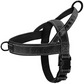🏆LAST DAY SALE: ONLY ￡9.99!!🎁✨Pawve™ No-Pull Dog Harness – Vet-Approved Comfort, Chafe-Free & Escape-Safe | Lightweight, Adjustable & Perfect for Every Walk🐕