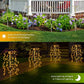 ⏳Limited-time Sale: ONLY ￡11.99!! ✨LuminaGlow™ Solar Firework Garden Lights – Waterproof Starburst Stake Lamps for Paths, Patios & Parties 🌟🌧️✨ (Multi-Colour)