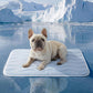 ❄️2026 Summer Hot Sale 50% OFF🧊PawDew™ for Dogs & Cats – Vet-Approved Ice-Silk Cooling Pad ❄️ | Q-MAX >0.4 | Washable 🧼, Non-Slip 🛟 | Perfect for Large Breeds & UK Summers ☀️🇬🇧