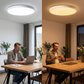 24W Smart WiFi LED Ceiling Light