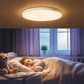 24W Smart WiFi LED Ceiling Light
