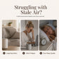 12-Pack Water Soluble Essential Oils Set